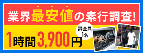素行調査 格安