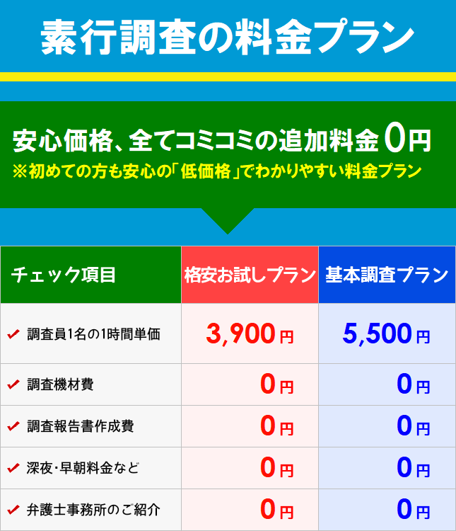 鳩ヶ谷市 低料金 社員 調査