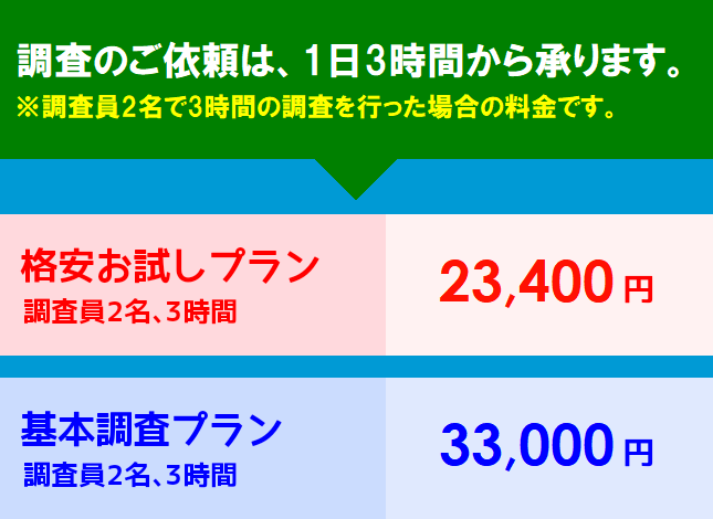 格安 素行調査 探偵